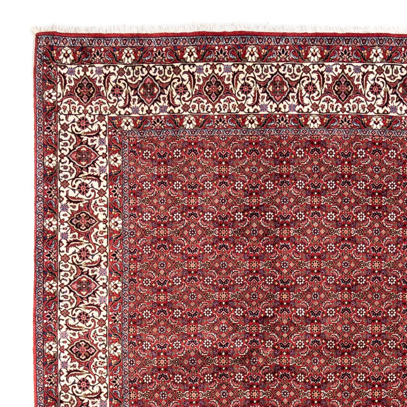Bidjar - Takab Tapete 340x252cm - Tapete persa