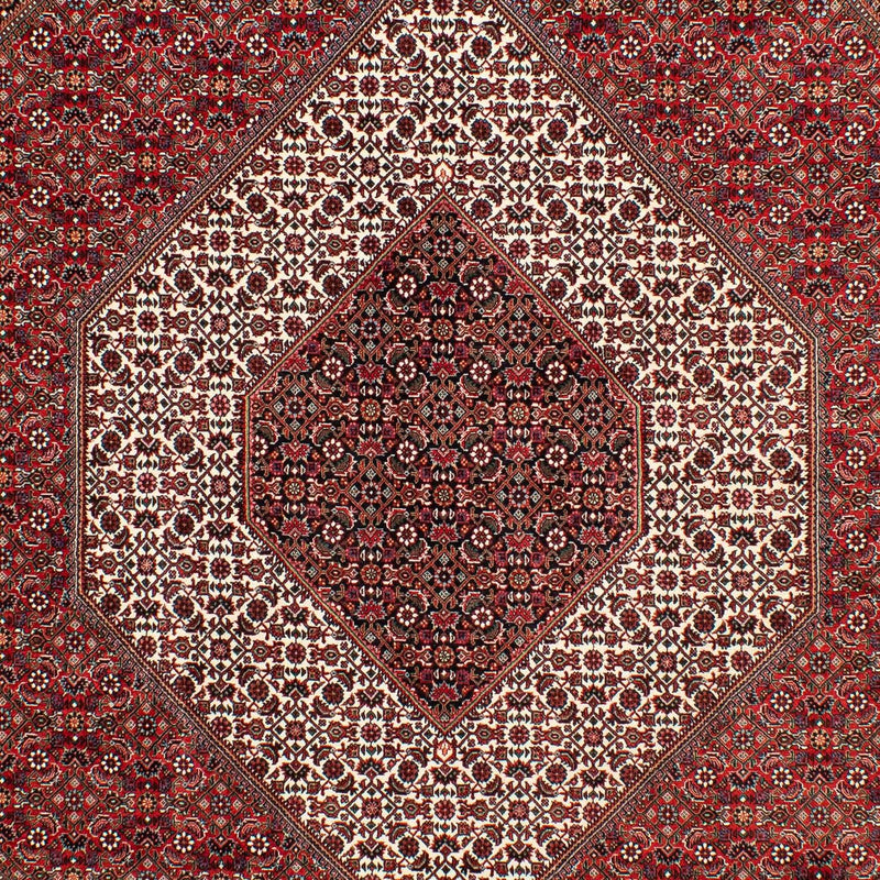Bidjar Tapete 203x302cm - Tapete persa