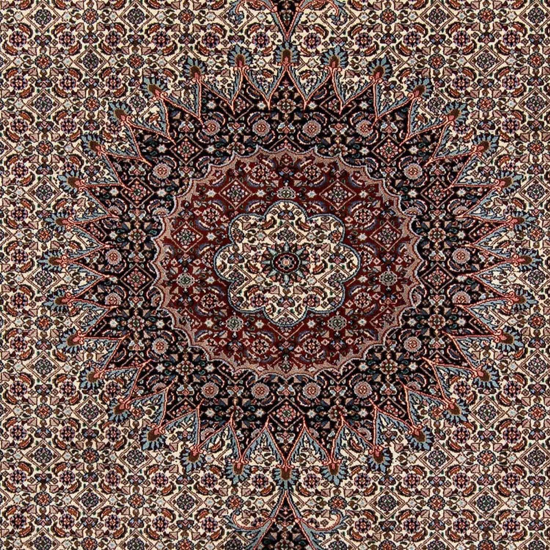 Moud Tapete 276x200cm - Tapete persa
