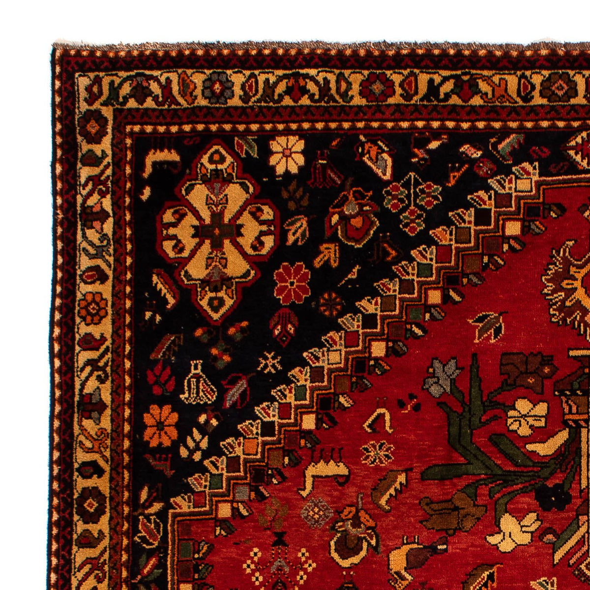Qashqai Tapete 219x302cm - Tapete persa