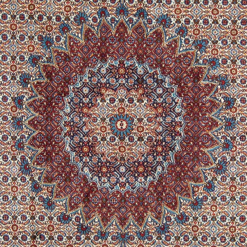 Moud Tapete 298x196cm - Tapete persa