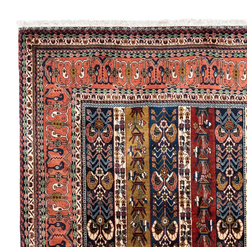 Kashkuli Tapete 197x295cm - Tapete persa
