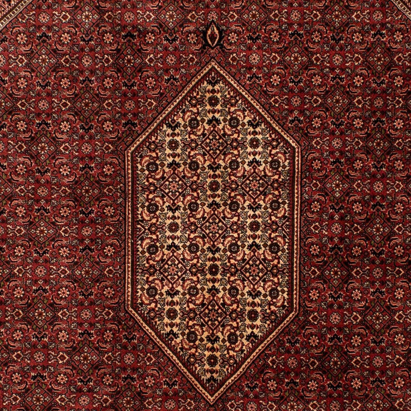 Bidjar Tapete 293x200cm - Tapete persa