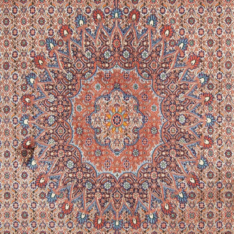 Moud Tapete 293x198cm - Tapete persa