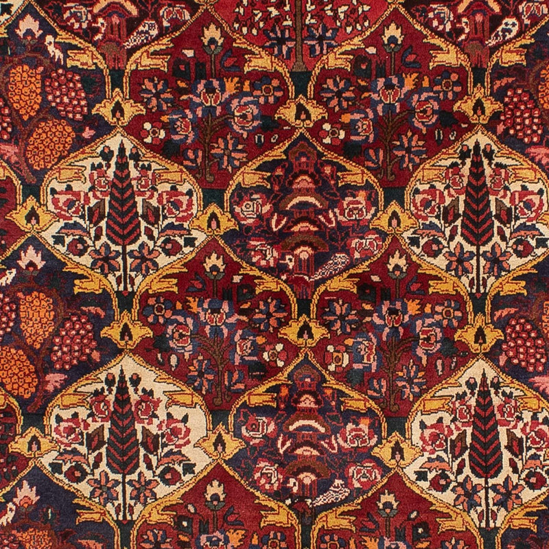 Bakhtiari Tapete 305x211cm - Tapete persa