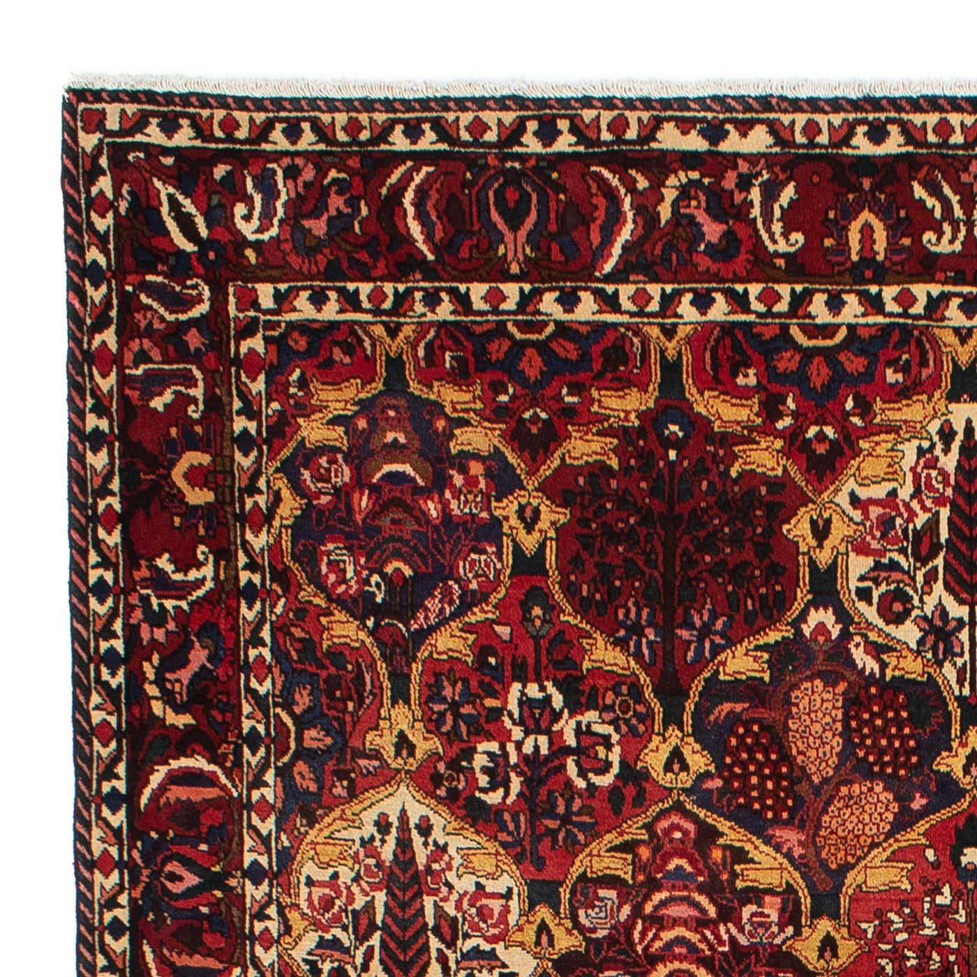 Bakhtiari Tapete 305x211cm - Tapete persa