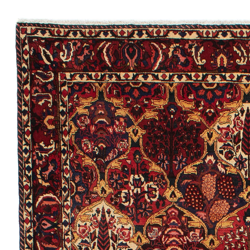 Bakhtiari Tapete 305x211cm - Tapete persa