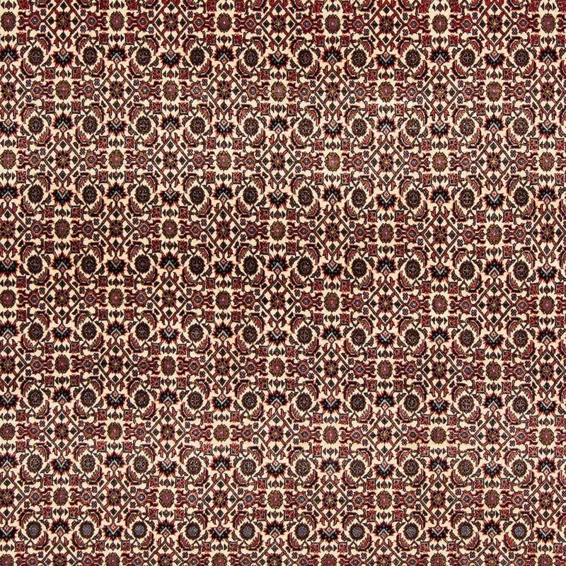Bidjar Tapete 204x201cm - Tapete persa