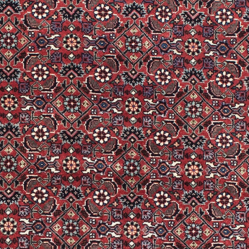 Bidjar Tapete 193x176cm - Tapete persa