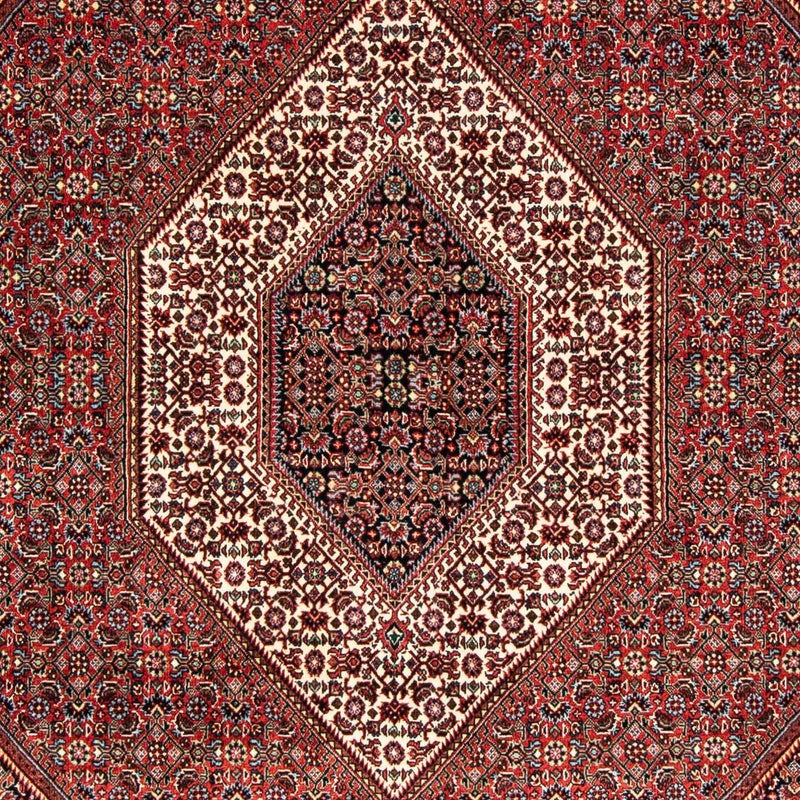 Bidjar Tapete 239x166cm - Tapete persa