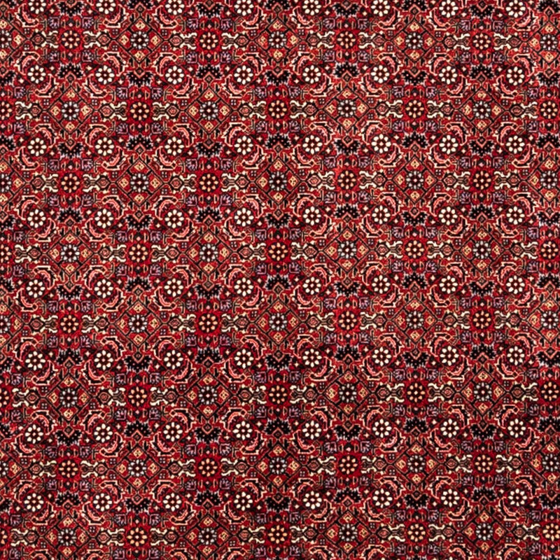 Bidjar - Takab Tapete 350x252cm - Tapete persa