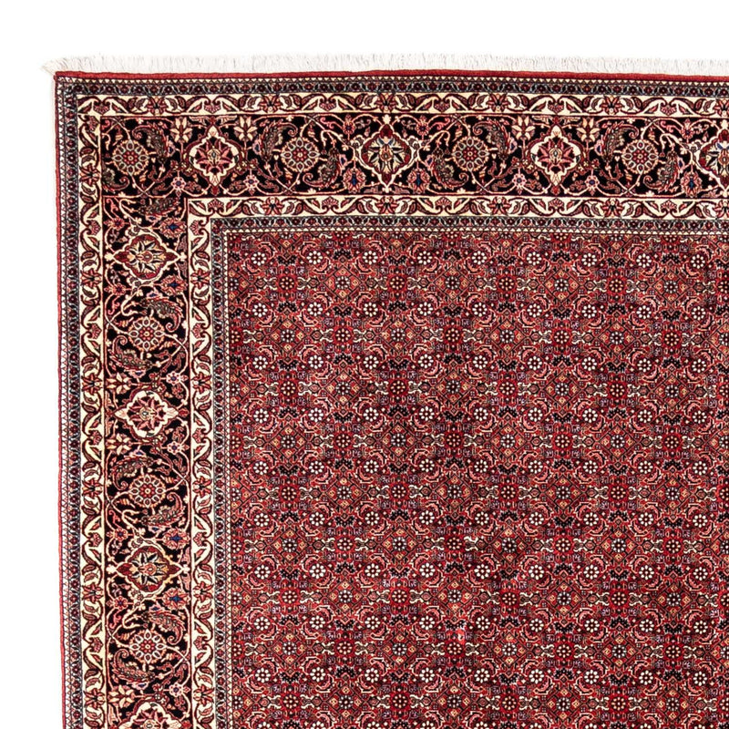 Bidjar - Takab Tapete 350x252cm - Tapete persa