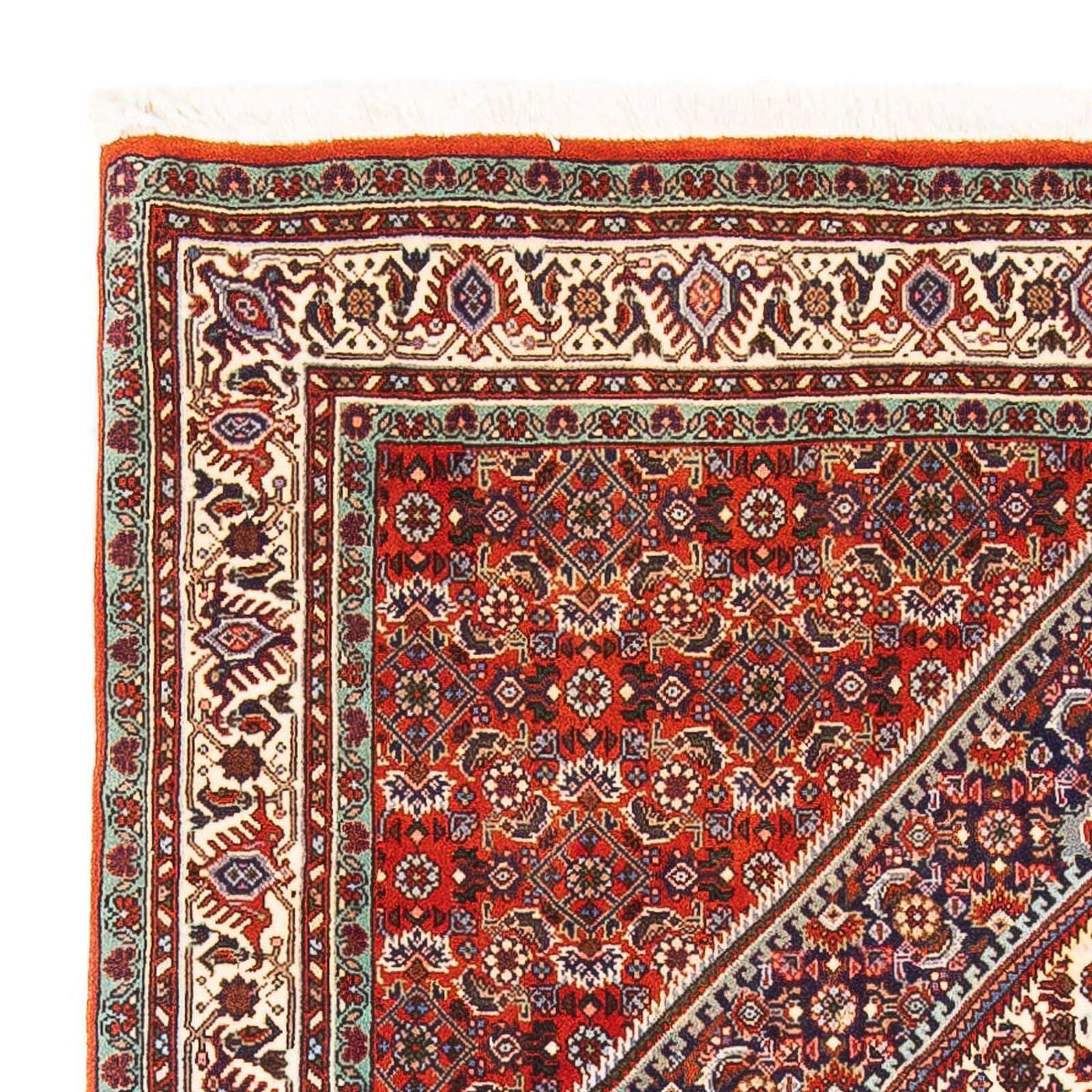 Bidjar Tapete 164x110cm - Tapete persa