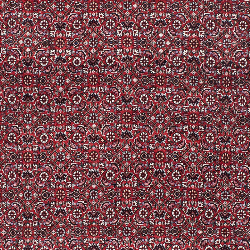 Bidjar Tapete 209x134cm - Tapete persa