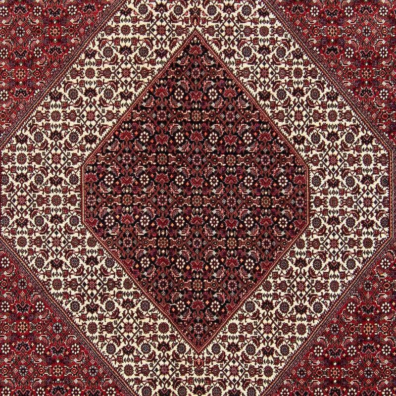 Bidjar Tapete 300x300cm - Tapete persa