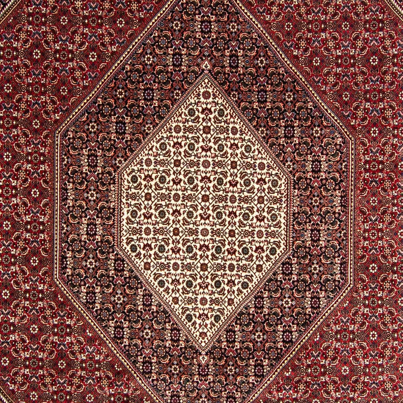 Bidjar Tapete 245x349cm - Tapete persa