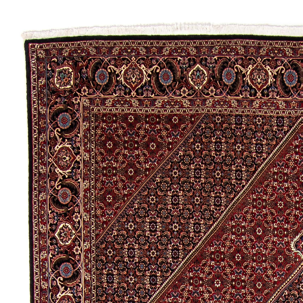Bidjar Tapete 245x349cm - Tapete persa