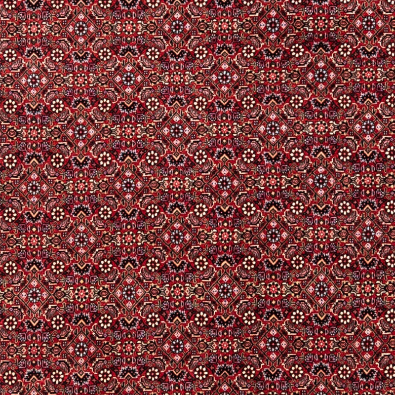 Bidjar - Takab Tapete 252x338cm - Tapete persa