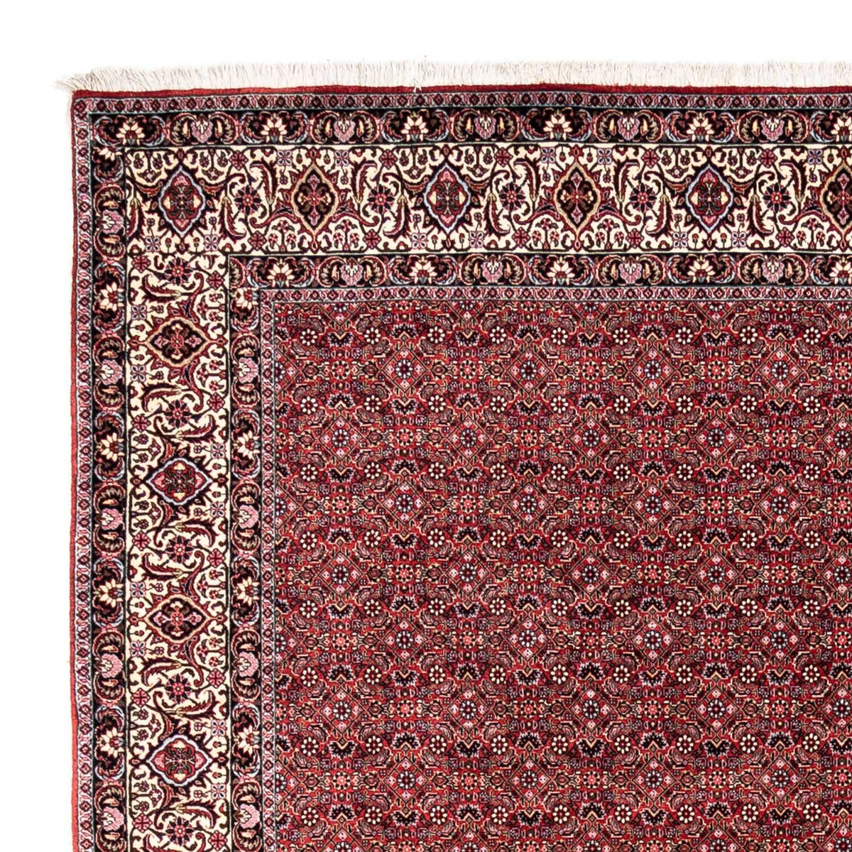 Bidjar - Takab Tapete 252x338cm - Tapete persa