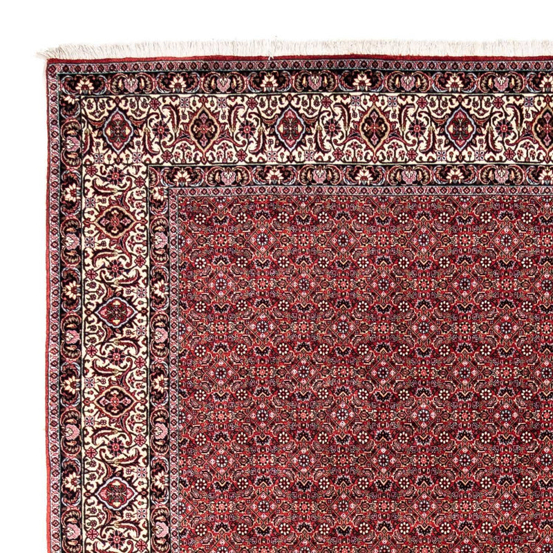 Bidjar - Takab Tapete 252x338cm - Tapete persa