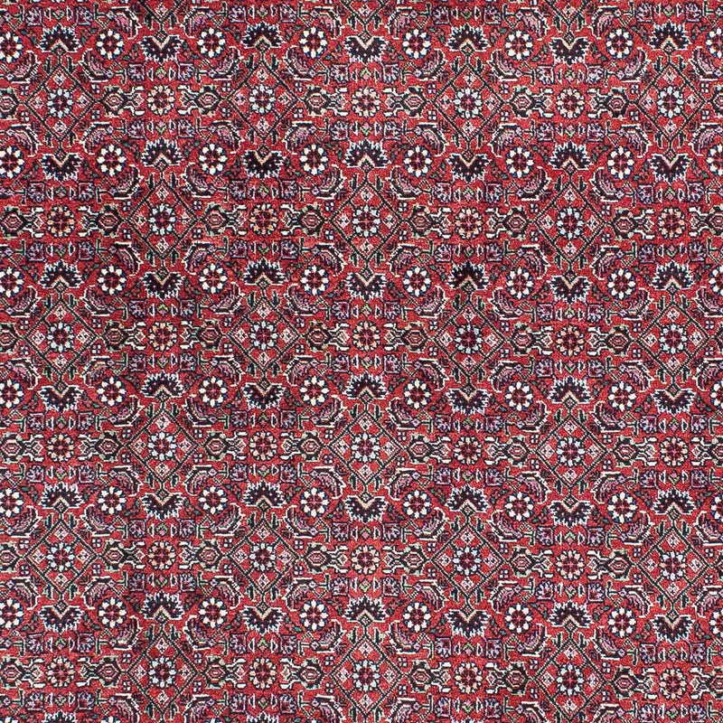Bidjar Tapete 216x128cm - Tapete persa