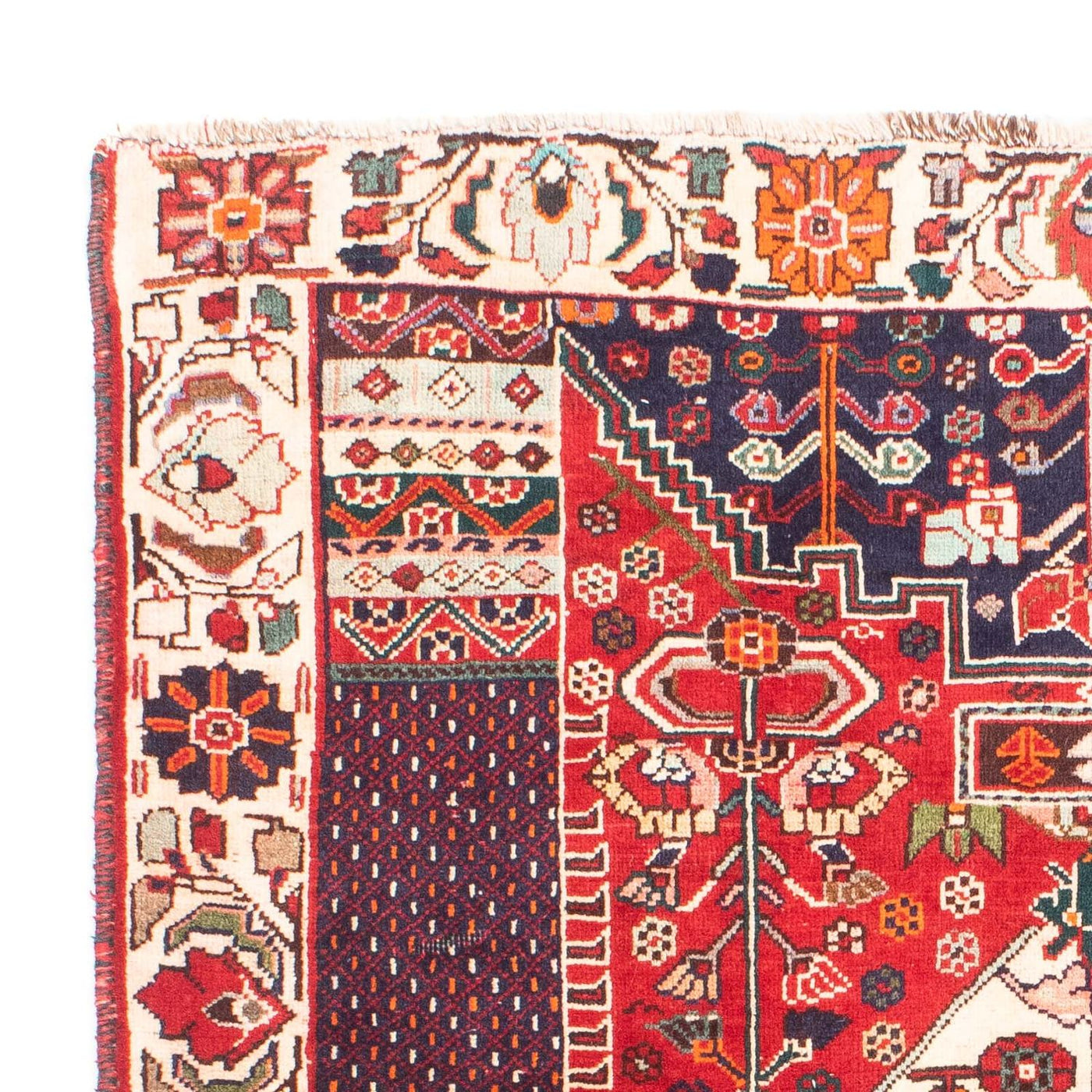Qashqai Tapete 148x121cm - Tapete persa