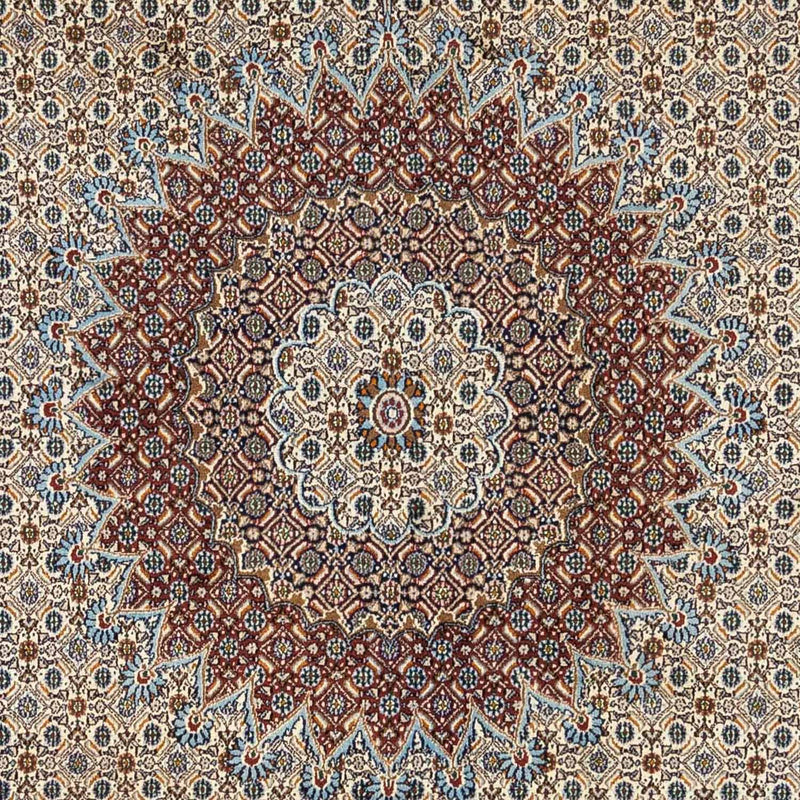 Moud Tapete 348x248cm - Tapete persa