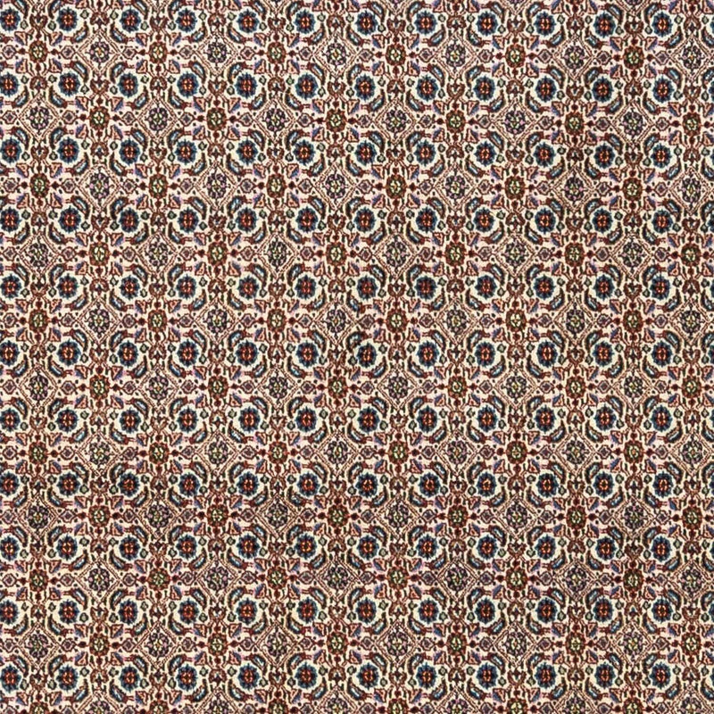 Moud Tapete 345x243cm - Tapete persa
