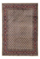 Moud Tapete 345x248cm - Tapete persa