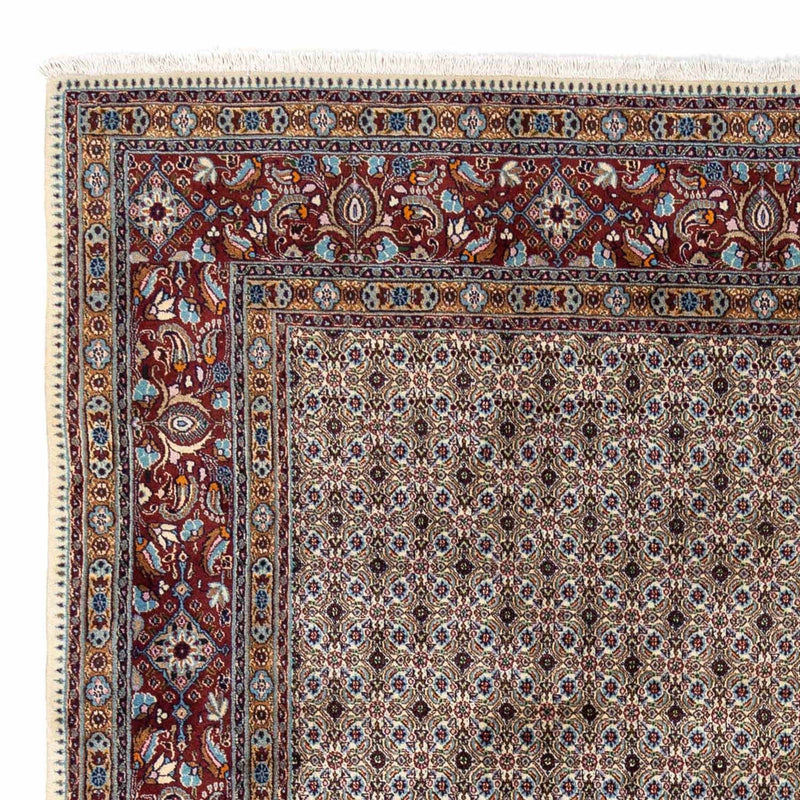 Moud Tapete 345x248cm - Tapete persa