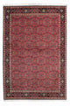 Bidjar - Zanjan Tapete 206x140cm - Tapete persa