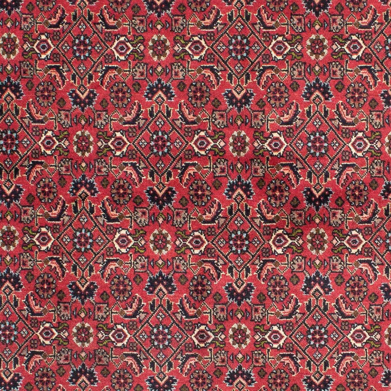 Bidjar - Zanjan Tapete 206x140cm - Tapete persa