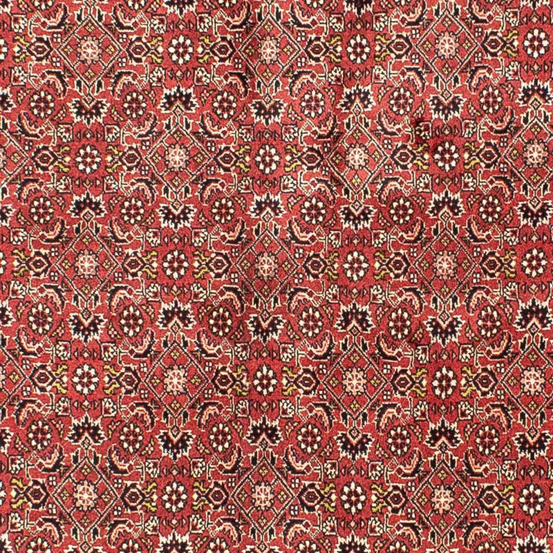Bidjar Tapete 141x205cm - Tapete persa