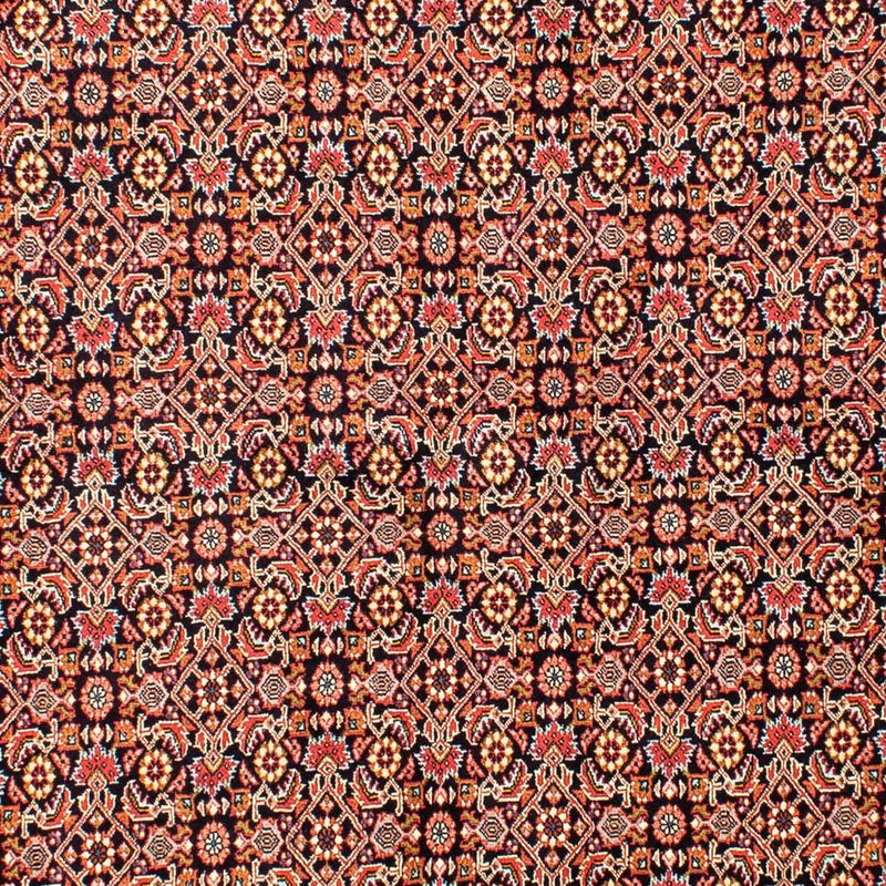 Bidjar Tapete 171x240cm - Tapete persa