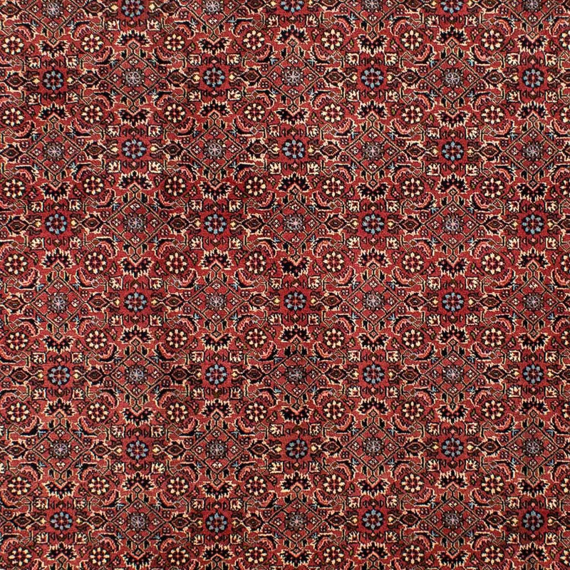 Bidjar Tapete 200x300cm - Tapete persa