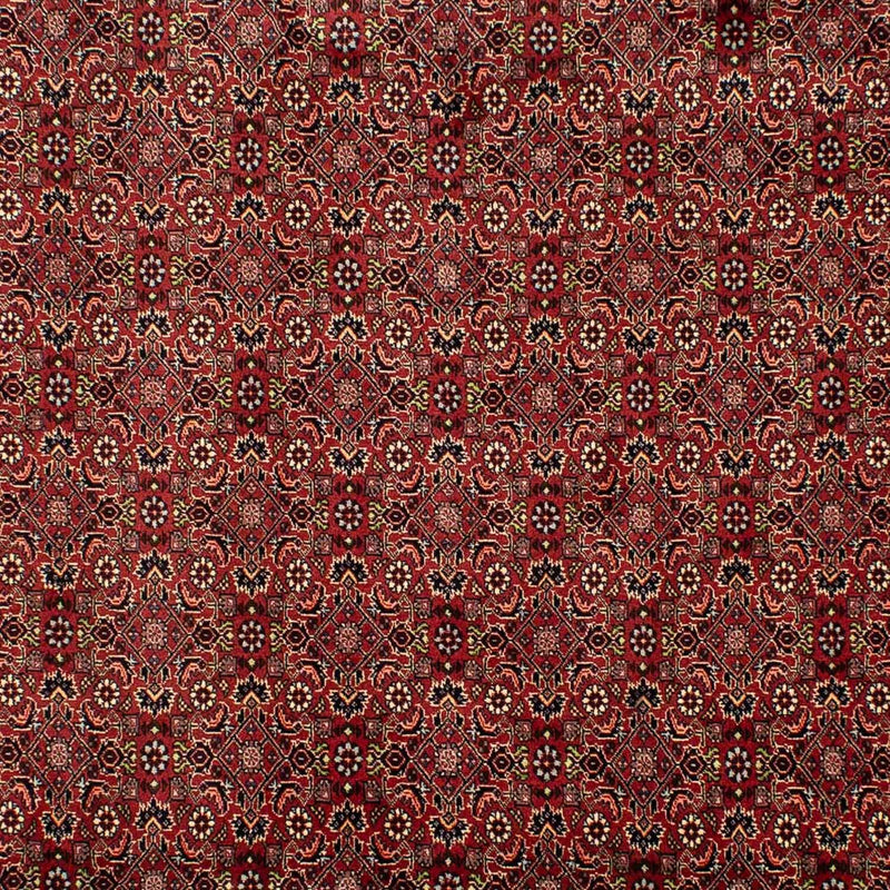 Bidjar Tapete 302x203cm - Tapete persa