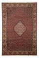 Bidjar Tapete 295x204cm - Tapete persa