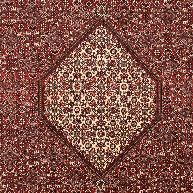 Bidjar Tapete 295x204cm - Tapete persa