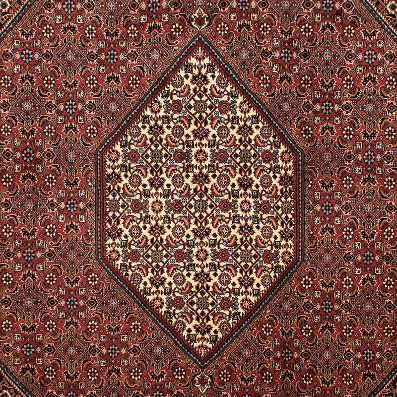 Bidjar Tapete 298x206cm - Tapete persa