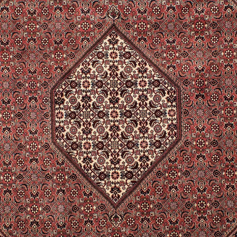 Bidjar Tapete 308x204cm - Tapete persa
