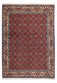 Bidjar - Zanjan Tapete 193x137cm - Tapete persa