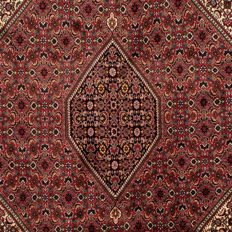 Bidjar Tapete 305x200cm - Tapete persa