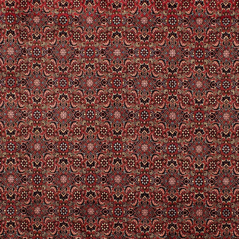 Bidjar Tapete 298x198cm - Tapete persa