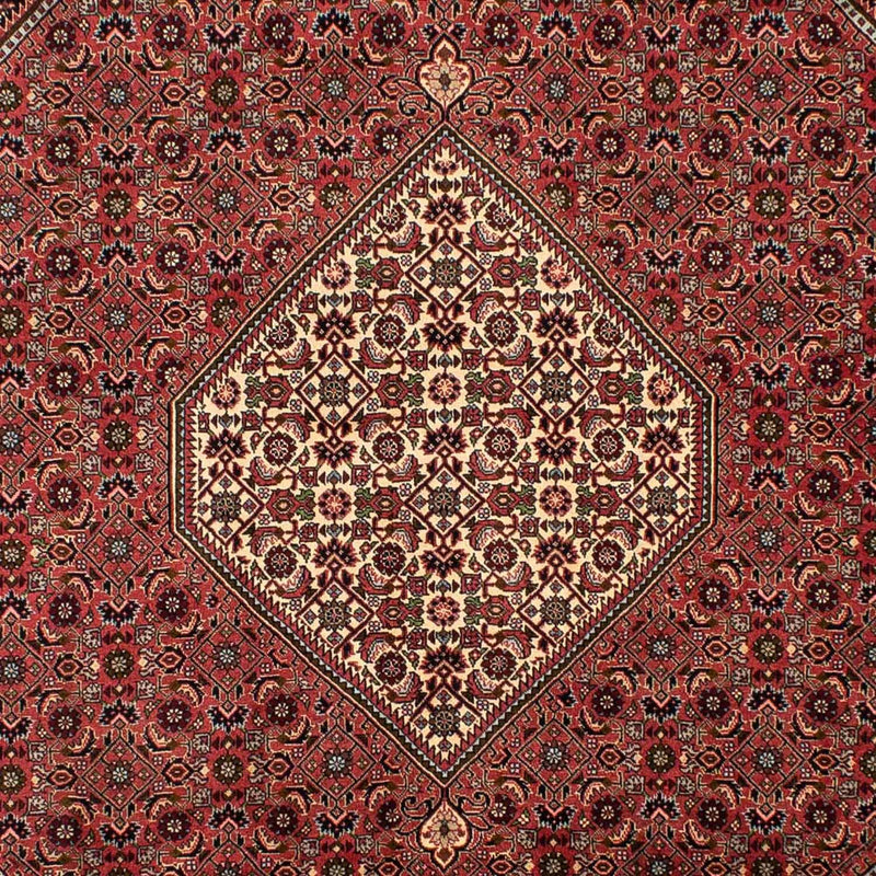Bidjar Tapete 308x200cm - Tapete persa