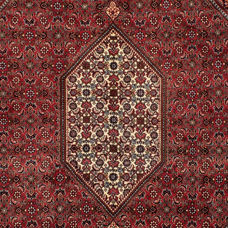 Bidjar Tapete 282x204cm - Tapete persa