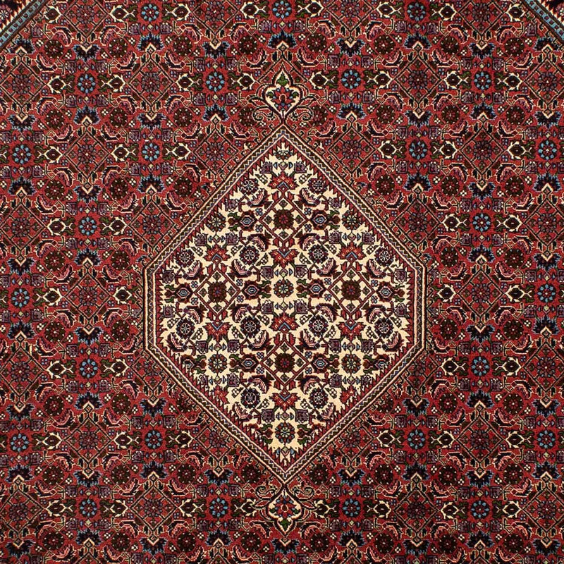 Tapete Persa - Bijar - 302 x 198 cm - castanho