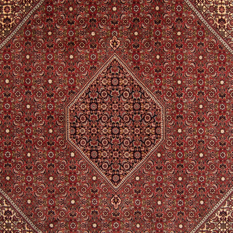 Bidjar Tapete 345x247cm - Tapete persa
