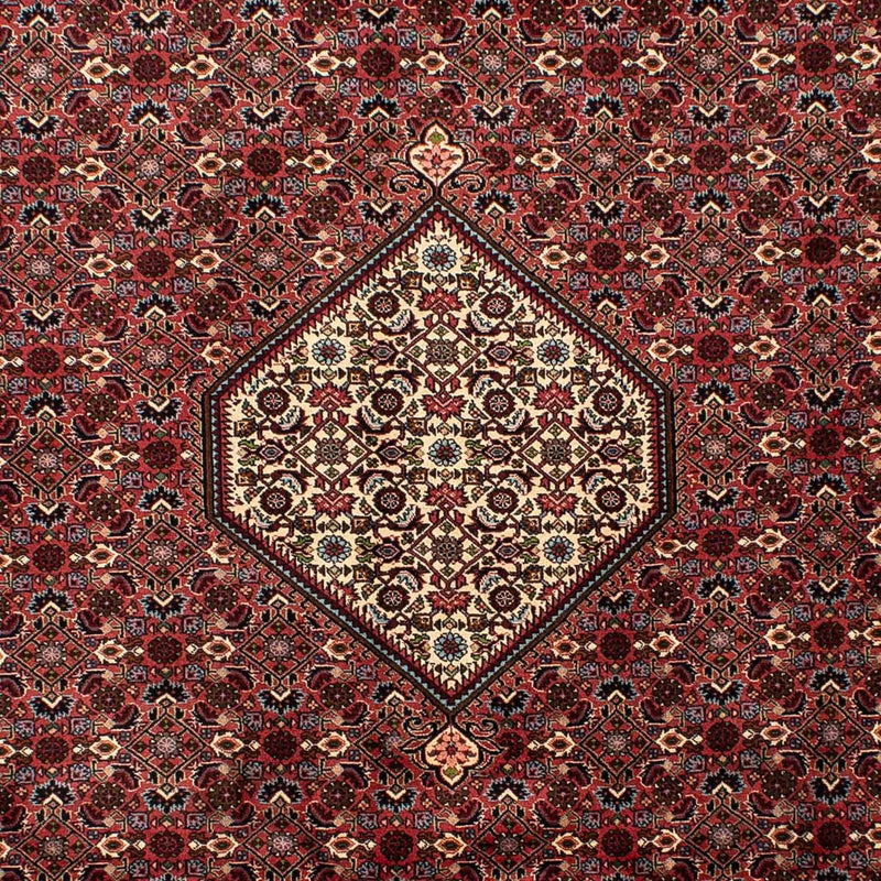 Bidjar Tapete 290x203cm - Tapete persa