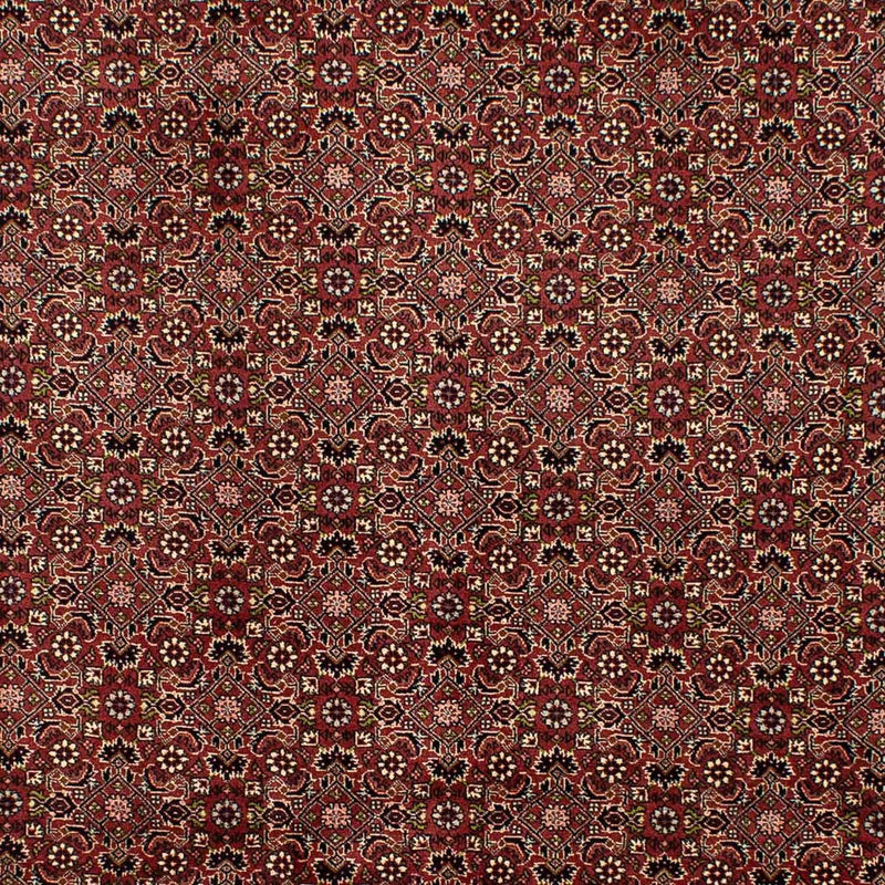 Tapete Persa - Bijar - 292 x 198 cm - castanho