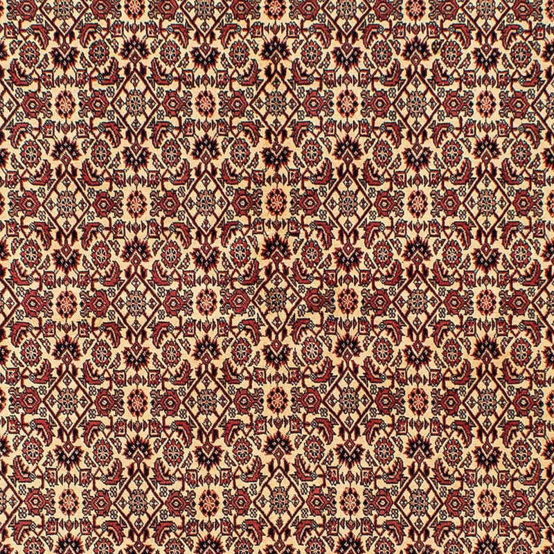 Bidjar Tapete 254x171cm - Tapete persa